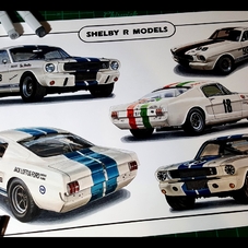 1965 Shelby Mustang GT350 R Artwork Drawing - The Cartist
